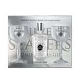 Gin Silver Seagers 750ml Kit Com 2 Taças De Acrílico