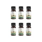 Oleo Capilar Vegetal Vita Seiva Alecrim 30ml-kit C/6un