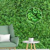 15 Quadros Muros Artificias Folhas De Trevo Com 100% De Cobertura Idêntico Ao Natural Para Decoração Interna 60x40