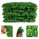 18 Painéis 60x40cm Para Jardim Vertical Artificial Extremamente Denso Plantas De Trevo Para Área Interna