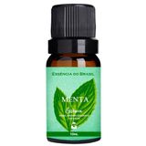 Essência De Menta Para Aromatizador / Difusor