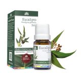 Óleo Essencial Eucalipto Orgânico 5ml-wnf