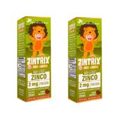 Kit 2x Zintrix Zinco Infantil 20ml Flora Nativa