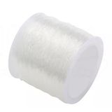 Fio De Silicone Incolor 0.4mm Com 100 Metros