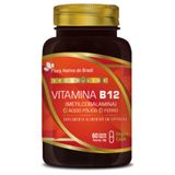 Vitamina B12 + Ferro + Ácido Fólico 60 Vegan Caps Vegano