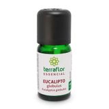 Óleo Essencial Terra Flor De Eucalipto Globulus 10ml