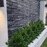 5 Plantas Artificiais De Fícus 55x45 Produto Permanente Para Arbustos E Criação De Árvore Decorativa