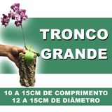 Tronco Para Orquídeas, Oco Kit Com 10 Unidades - Grande - 9 Unidades