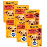 Kit 6 Ração Úmida Para Cachorro Pedigree Adulto 7+ Sabor Carne Ao Molho Em Sachê 100g