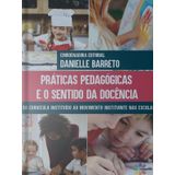 Práticas Pedagógicas E O Sentido Da Docência