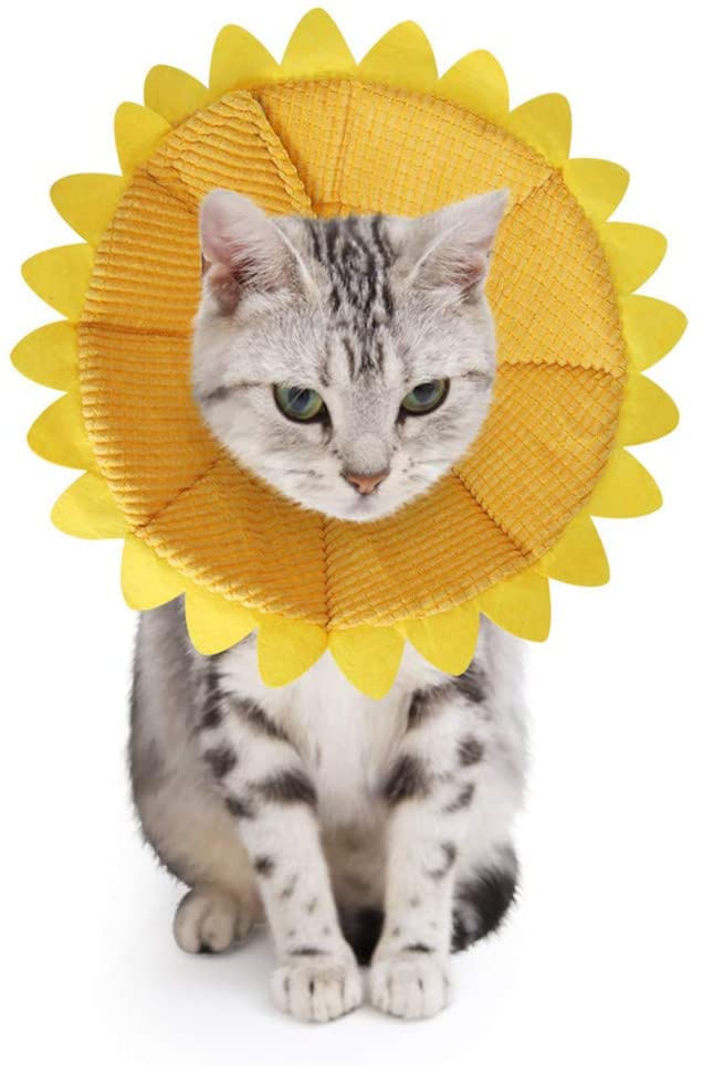 Coleira De Recuperação De Gato Colar De Cone De Estimação Protetora Cone De Algodão Fixação Ajustável Para Gato E Filhote, Amarelo (m)