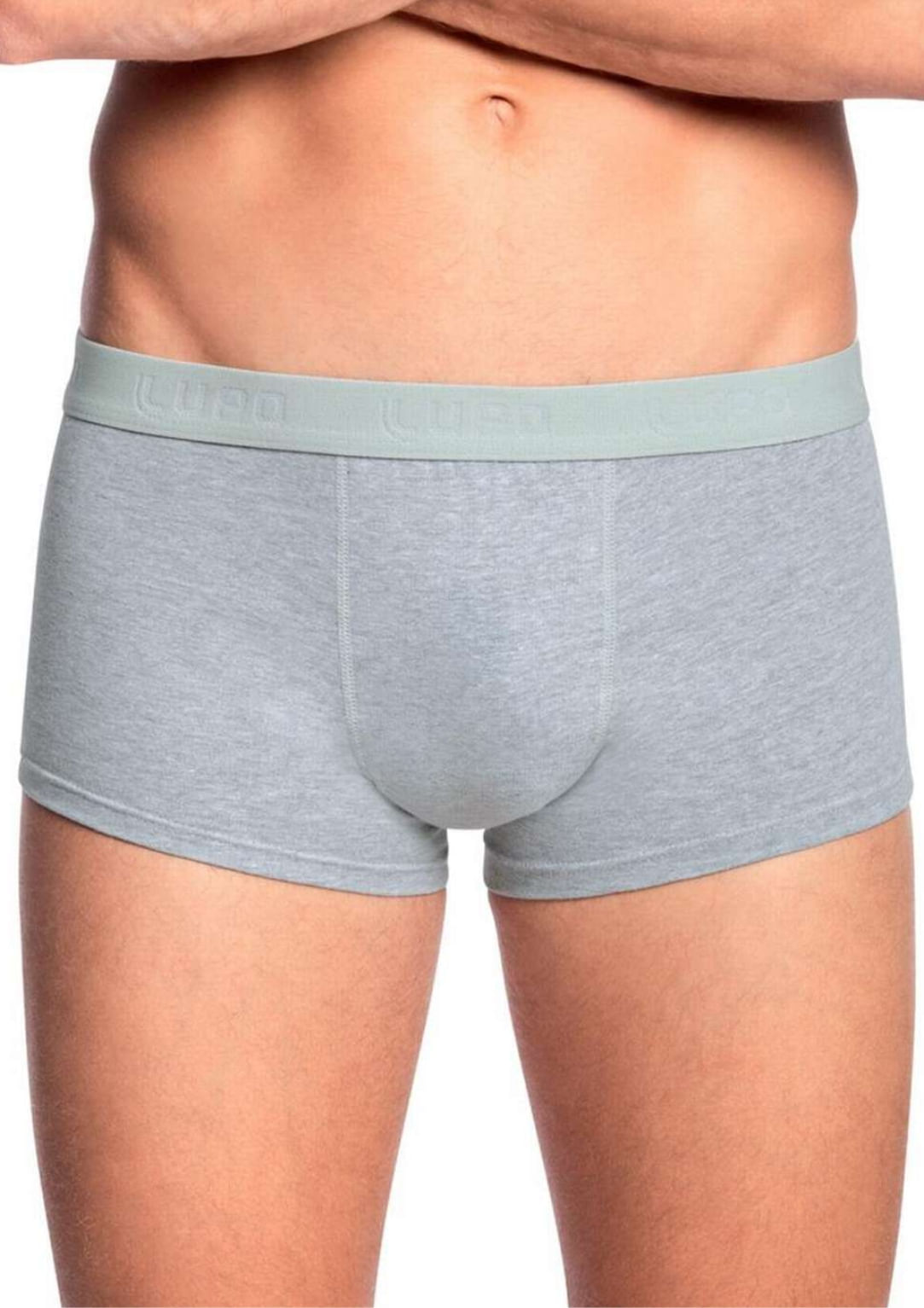 Cueca Sunga Algodão Lupo - Cinza Mescla - 00480 | Pau A Pique Cueca Sunga 00480 - Cinza - Gg