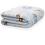 Cobertor Infantil Flannel 300g Carros - Camesa Azul