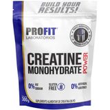 Creatina Monohidratada Power Creatina 3g Refil 300g Profit