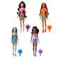 boneca-barbie-col-reveal-rainbow-mattel-1.jpg