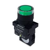 Botão De Impulso Iluminado | Plástico | Ew3361 | 220vca | Verde | 1na