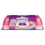 Pack Com 5 Ovos Surpresa Hatchimals Alive Ranbow Splash 4002