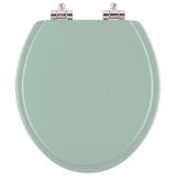 Assento Sanitario Poliester Soft Close Convencional - Oval Verde Claro Para Vaso Icasa