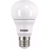 Lâmpada Bulbo Led Tkl 40 7w 6500k 100-240v Taschibra