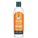 Shampoo Dandruff Relief 12 Fl Oz Da Jason Natural Products