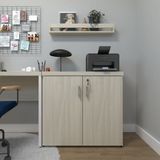 Armário Baixo Com 2 Portas Para Escritório / Home Office Branco/geneve