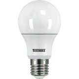 Lâmpada Bulbo Led Tkl 100 15w 6500k 100-240v Taschibra