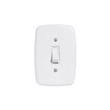 Interruptor De 1 Tecla Simples Com Placa 4x2 Branco