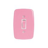 Interruptor De 1 Tecla Simples Com Placa 4x2 Rosa