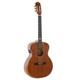 Violão Galaxy Strinberg Sc301hcr Mgs Art  Fosco
