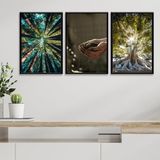 Kit 3 Quadros Decorativos Mãe Natureza 33x24cm - Com Vidro