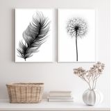 Kit 2 Quadros Minimalistas Pena E Flor 33x24cm - Com Vidro
