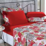 Jogo De Cama Malha Lençol 100% Algodão Primavera 4 Peças King Floral Vermelho