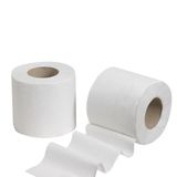 Papel Higiênico Neve Toque Da Seda Folha Dupla Kit 4