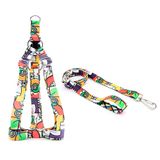 Peitoral e Guia Smooty Pet Abstrata M kit