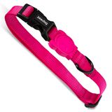 Coleira Para Cachorros Pink Led Zee Dog Pp