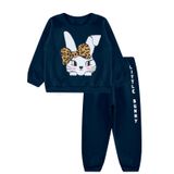 Conjunto Moletom Feminino Infantil Felpudo Blusão E Calça