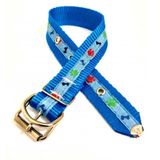 Coleira Nylon Pra Cachorro Nicapet Cor Azul Nº 7 Pata Osso