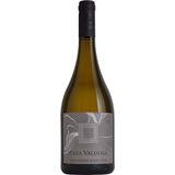 Vinho Casa Valduga Terroir Sauvignon Blanc 750ml