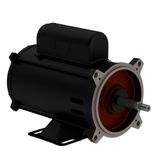 Motor Weg Bomba Piscina 3/4cv 0,75cv 127/220v Monofásico 2