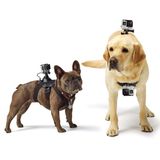 Suporte Canino para Câmera GoPro Fetch, Black - ADOGM-001