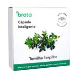 Capsula Tomilho Para Horta Autoirrigavel Brota