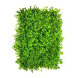 Placa Verde Jardim Vertical Artificial Muro Inglês 40x60cm