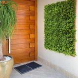 6 Quadros Verdes Qualidade Superior Samambaia Com Eucalipto Para Jardim Vertical Interno 60x40cm