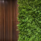 12 Placas Para Jardins Verticais Linha Prime Durável Com Aspecto Natural Samambaia Com Eucalipto 60x40