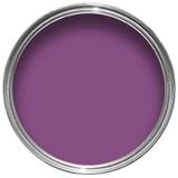 Cor Sólida Roxo Sinal Ag - Ral4008 10g