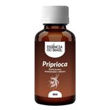 Essência De Priprioca 60ml Aromatizadores, Difusores E Velas