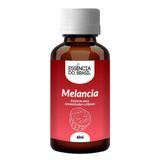 Essência De Melancia 60ml Aromatizadores, Difusores E Velas