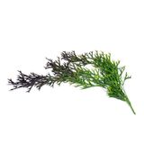 Folha Artificial Chifre De Veado Para Pendurar Verde 76 Cm F04 - D&#39;rossi