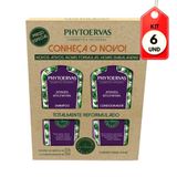 Kit C/06 Phytoervas Antiqueda Shampoo + Condicionador 250ml