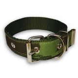 Coleira Xadrez 25mm Para Cachorro Nicapet Cor Verde Nº 4